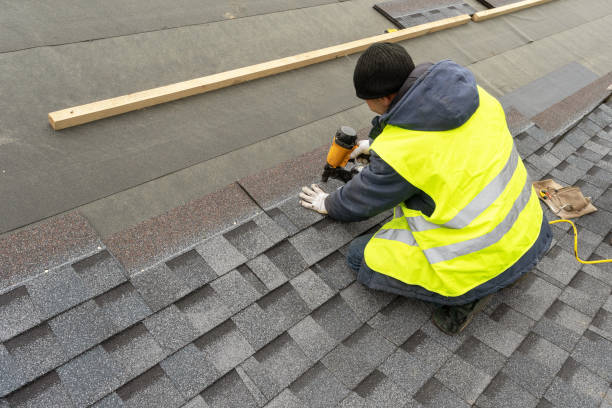 Best Roof Gutter Cleaning  in Bluff City, TN