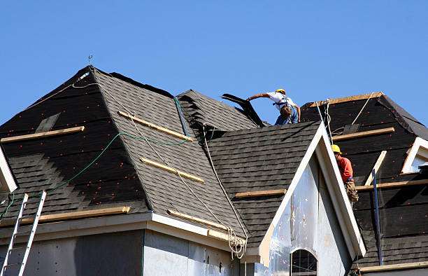 Best Gutter Installation and Roofing  in Bluff City, TN